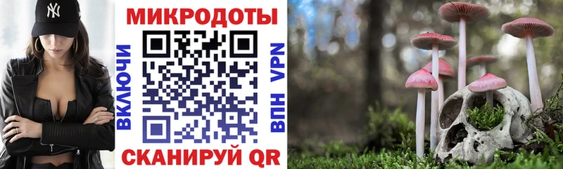 Галлюциногенные грибы прущие грибы  продажа наркотиков  Малоярославец 